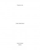 Que es el gran Proyecto de vida.