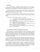 Trabajo de Investigación de Habeas Data.