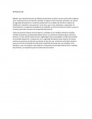Actividad. Seguridad del paciente