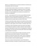 Caso de internacionalización de alpina