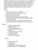 PLANIFICACION Y FUNDAMENTACION