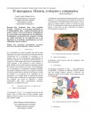 El marcapasos: Historia, evolución y comparativa