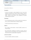 QUE ES CASO POLIMERO