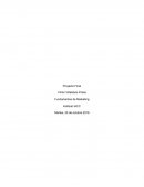 Proyecto final mkt Light pero RICO