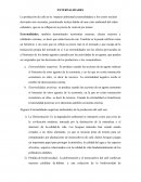 Externalidades apuntes