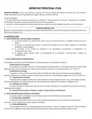 DERECHO PROCESAL CIVIL LA INSTRUCCION