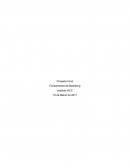 Proyecto Final - Fundamentos de Marketing