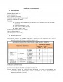 Trabajo de investigación América Pyme S.A.