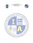 PREINFORME MICROMODELOS