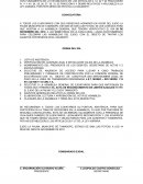 SEGUNDA CONVOCATORIA NOV LA PALMA