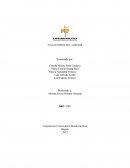 TALLER PERFIL DEL AGRESOR