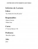 Libro: “EL PAIS EN UNA PLAZA”