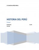 Ensayo la moneda extranjera