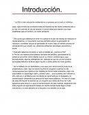 Pet plasticos y mas plasticos