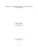 PROPUESTA DE PLAN DE DESARROLLO DEL SISTEMA DE INFORMACIÓN DE CONFAMILIAR