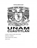 FEDERACIÒN (RETROALIMENTACIÒN)