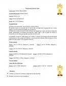 Período de Adaptación del niño