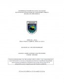 ENSAYO SOBRE EL VIDEO LA VACA