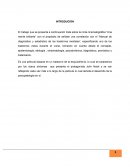 El trabajo que se presenta a continuación trata sobre la cinta cinematográfica “Una mente brillante”