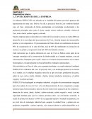 CAPITULO 3 Diagnósticos Interno La industria INDELCUSI