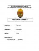 Informe de evolucion de empresas