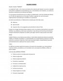 Reseña: Calzado “PARAÍSO”