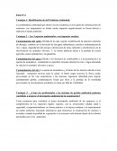 En que consiste la Reflexion de la Consigna 1- Identificación de del Problema Ambiental