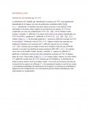 EN FEMEDAD PULMONAR MICROBIOLOGÍA