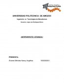 Anteproyecto de Estancia