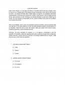 Texo La piel del cocodrilo