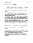 Vivencias en el Cideb