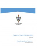 Resumen del Homo Videns