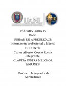 Información profesional y laboral. Producto Integrador de Aprendizaje