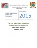 INDUSTRIALIZACIÓN DE ABONOS ORGÁNICOS