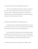 Entrevistada: Alice Sanchez, 21 años, estudiante Ingeniería Comercial, Usach