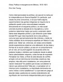 Etnia, Política e insurgencia em México, 1810-1821.