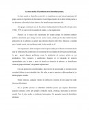 Tema de La clase media chilena del siglo XX