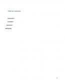 Ensayo de el libro “Ensayo sobre la lucidez”