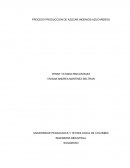 Un Proceso de produccion delazucar