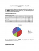 UN ANÁLISIS SOCIO DEMOGRÁFICO DE LA POBLACIÓN
