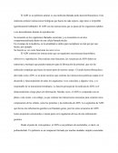 Sintesis de El ADN