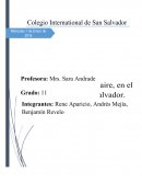 SEMINARIO CONTAMINACION AMBIENTAL