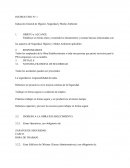 Una Inducción General de Higiene, Seguridad y Medio Ambiente