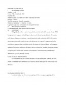 Un Modelo de informe diagnostico