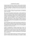 LOS PRINCIPIOS DEL DERECHO ENSAYO