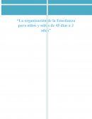 La organización de la Enseñanza para niños y niñas de 45 días a 3 años