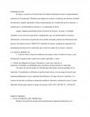 Exámenes de ensayo de fuerza