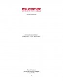 LA DESCRIPCION INDUSTRIA TEXTIL MONARCH.