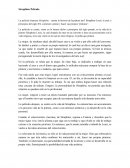 Ensayo sobre la Película Séraphine