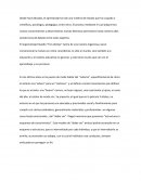 La Reflexión sobre la Película 3 Idiotas